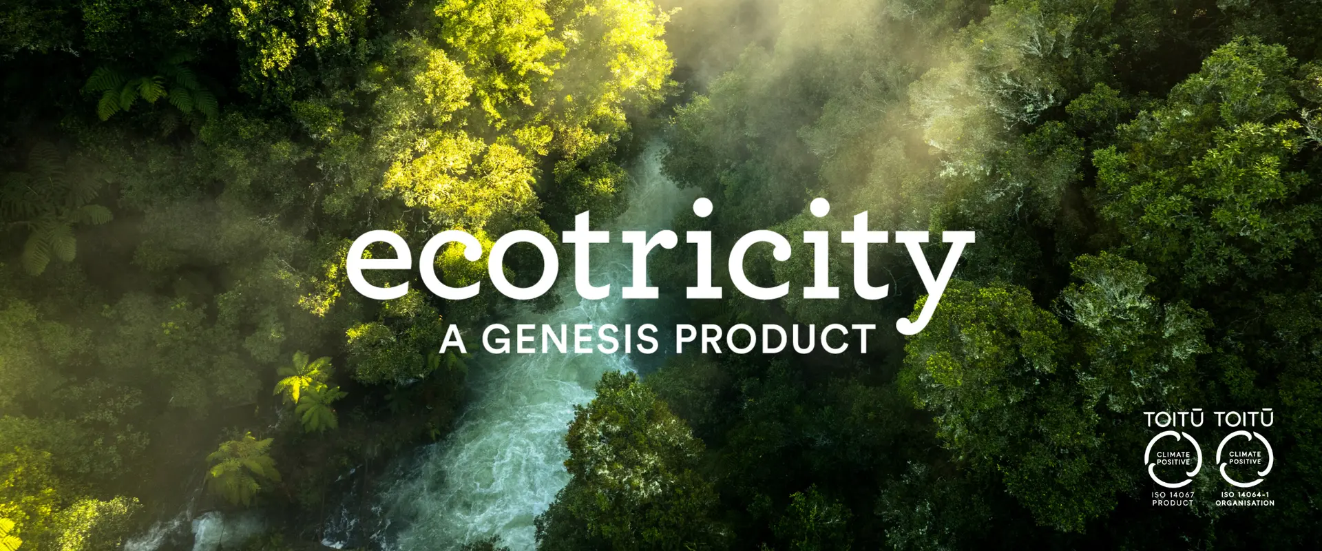 Aerial view of green forest surrounding a flowing river.