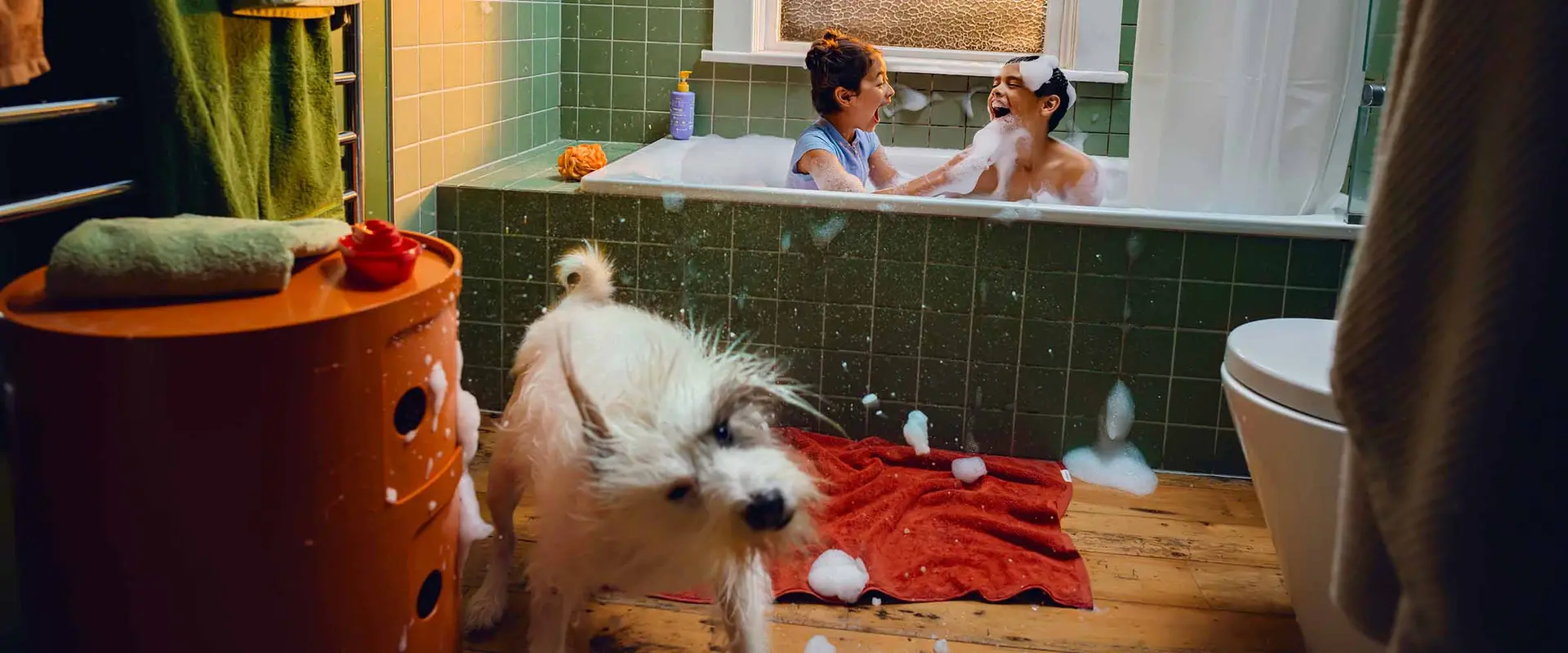 Children playing with bubbles in bath tub and dog shaking bubbles off
