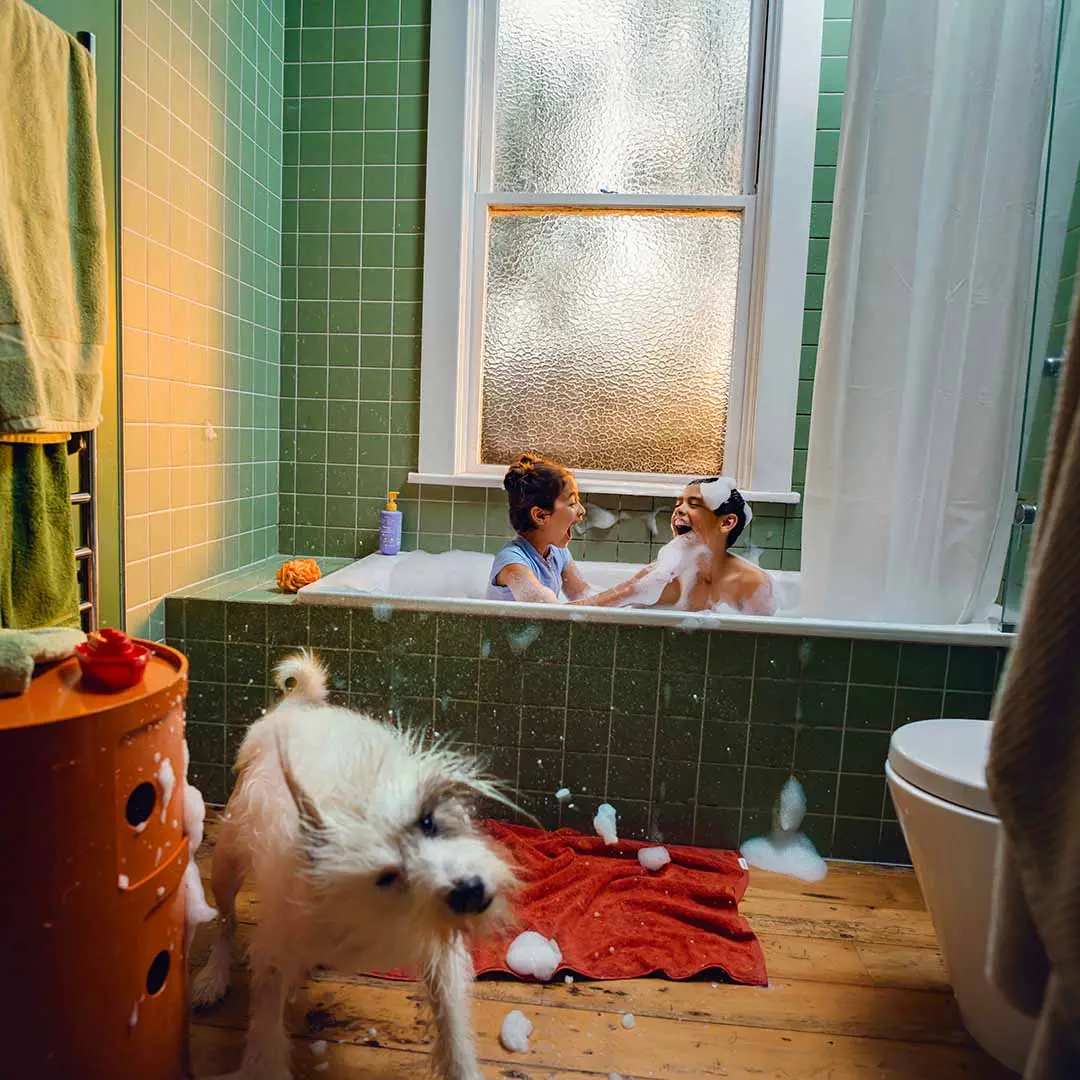 Children playing with bubbles in bath tub and dog shaking bubbles off