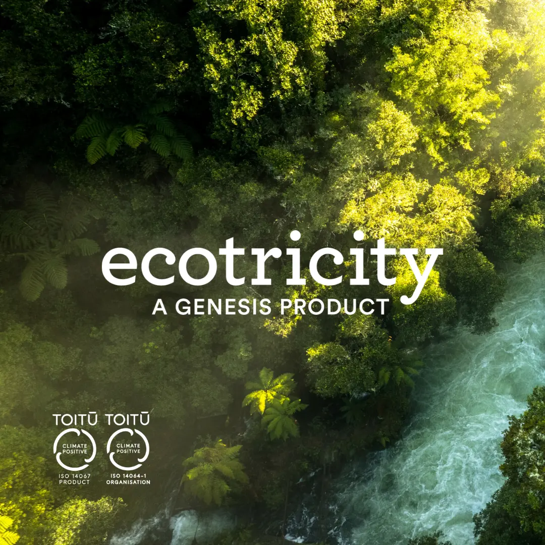 Aerial view of green forest surrounding a flowing river.